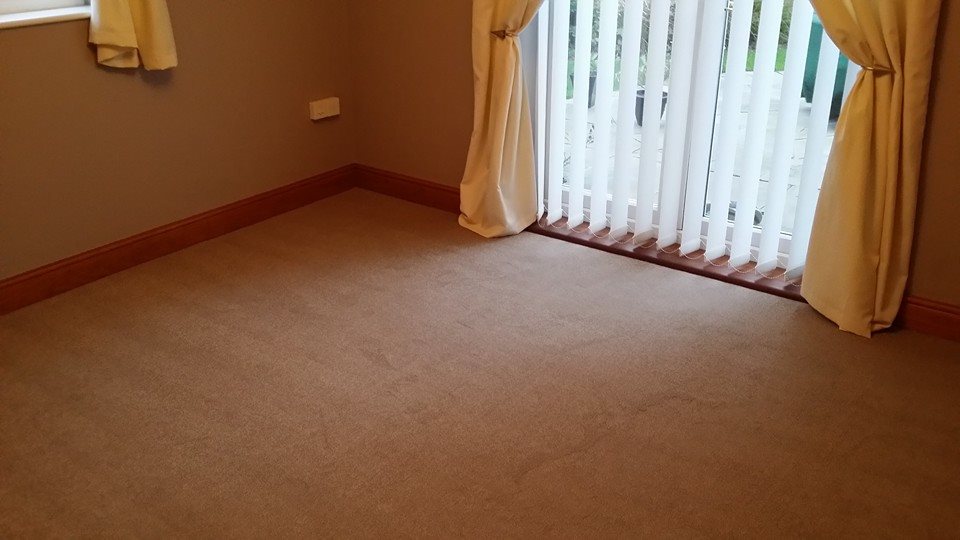 carpet laid near french doors